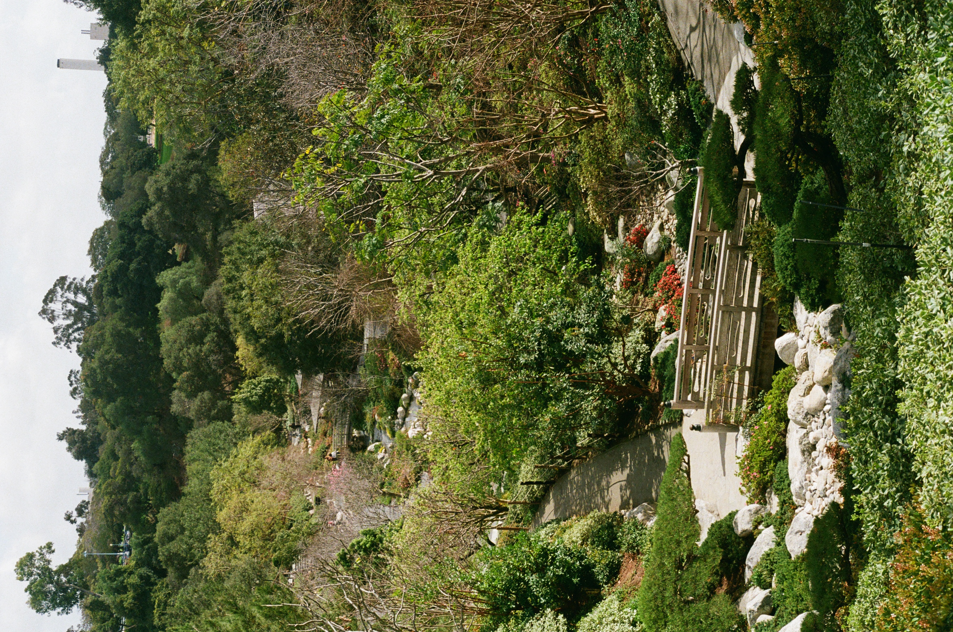 The Japanese Friendship garden in Balboa Park